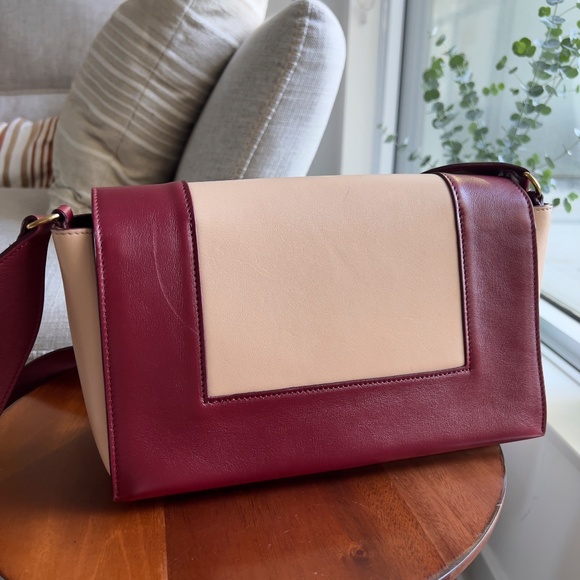 CELINE Medium Frame Bag - Picture 6 of 11